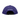 SUPREME X THE NORTH FACE LEATHER 6 PANEL 'PURPLE'